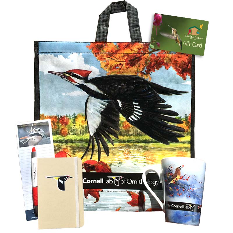 Weekly Prizes from the Cornell Lab of Ornithology